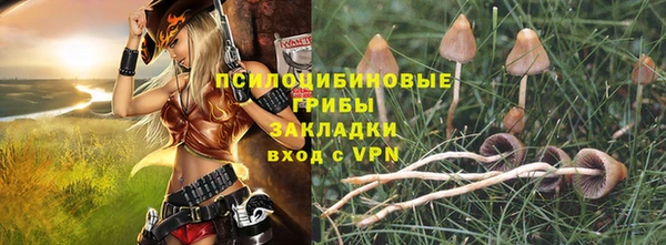 ГАЛЛЮЦИНОГЕННЫЕ ГРИБЫ Ростов