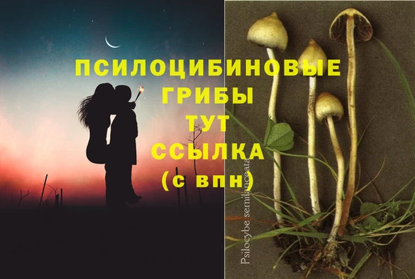 а пвп мука Абдулино